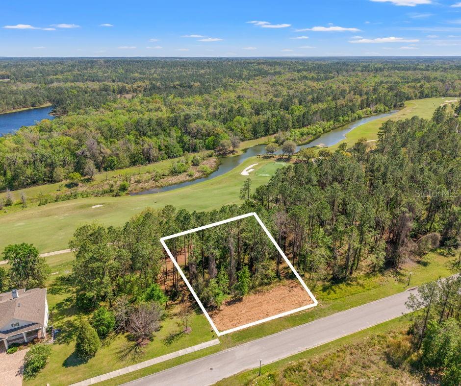 20044 English Walnut Pl, FL