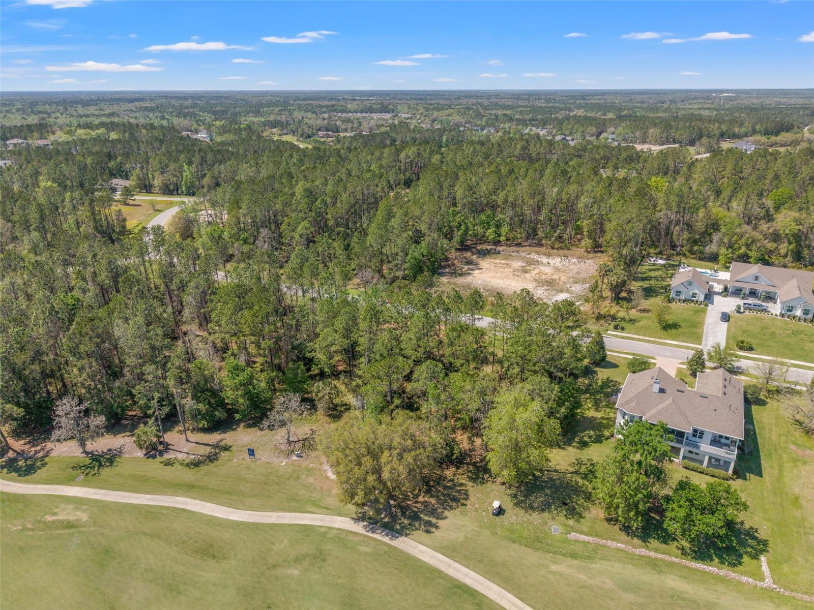 20044 English Walnut Place, FL