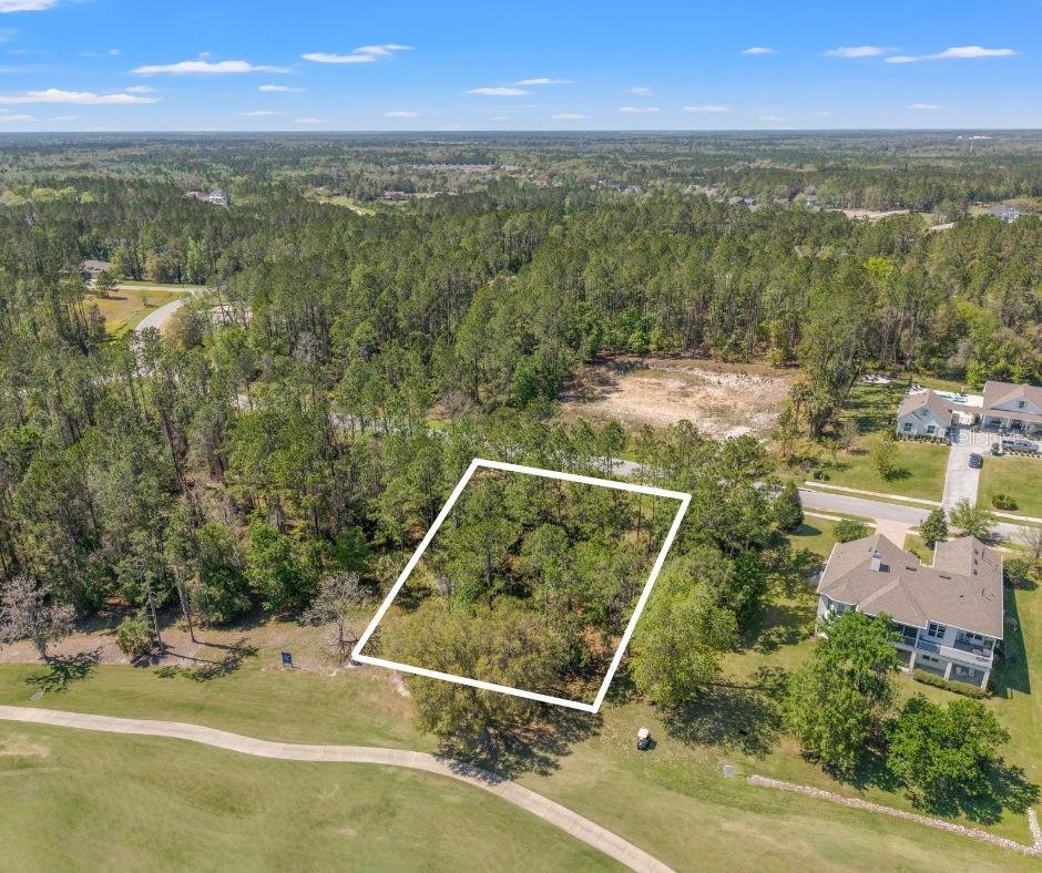 20044 English Walnut Place, FL