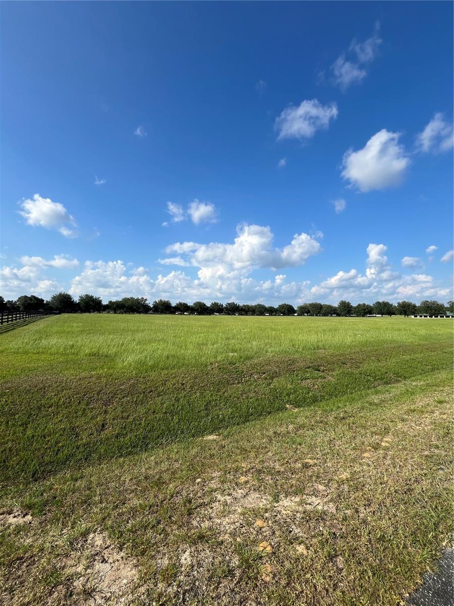 Tbd 54 Loop, FL