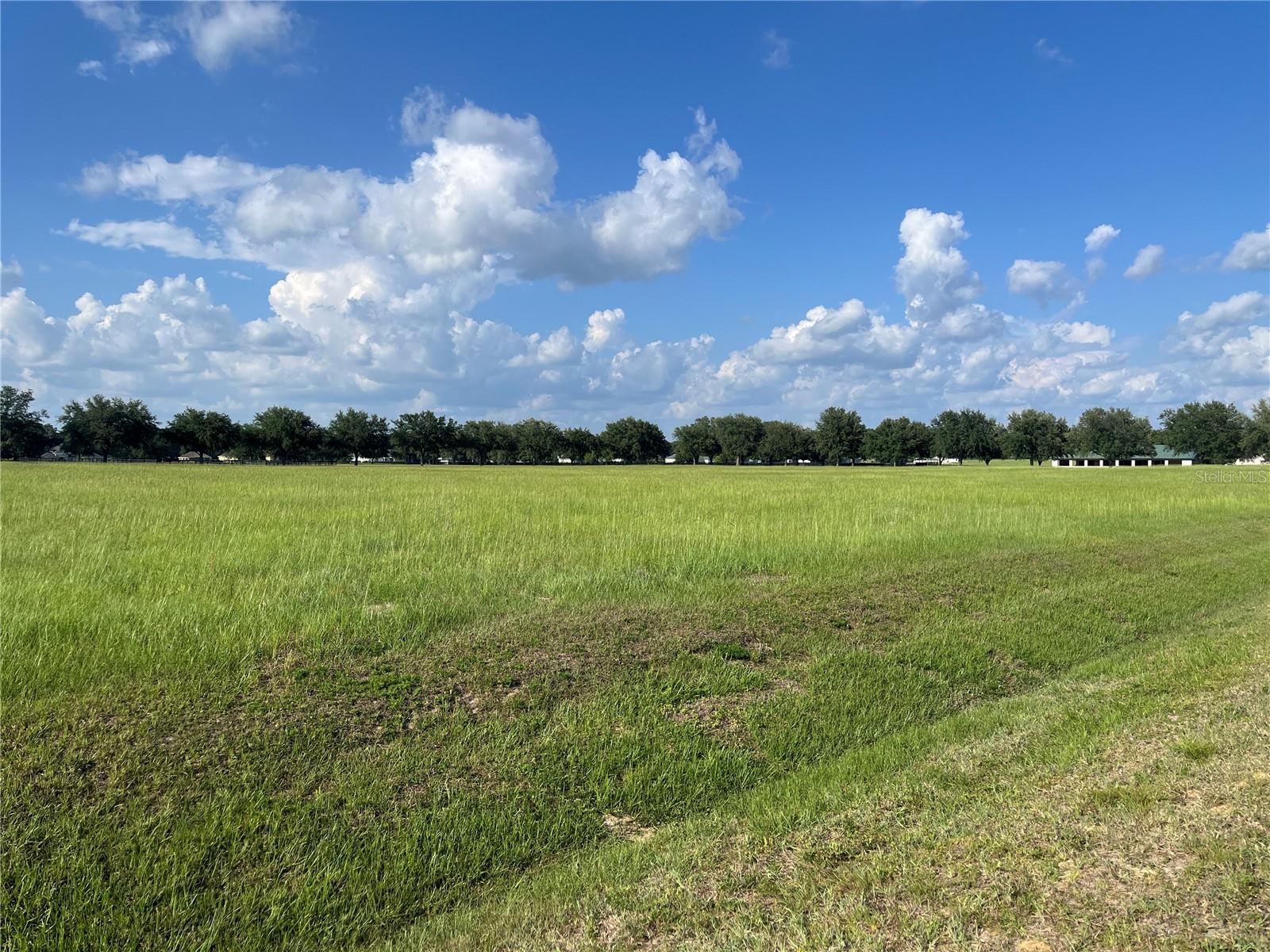 Tbd 54 Loop, FL