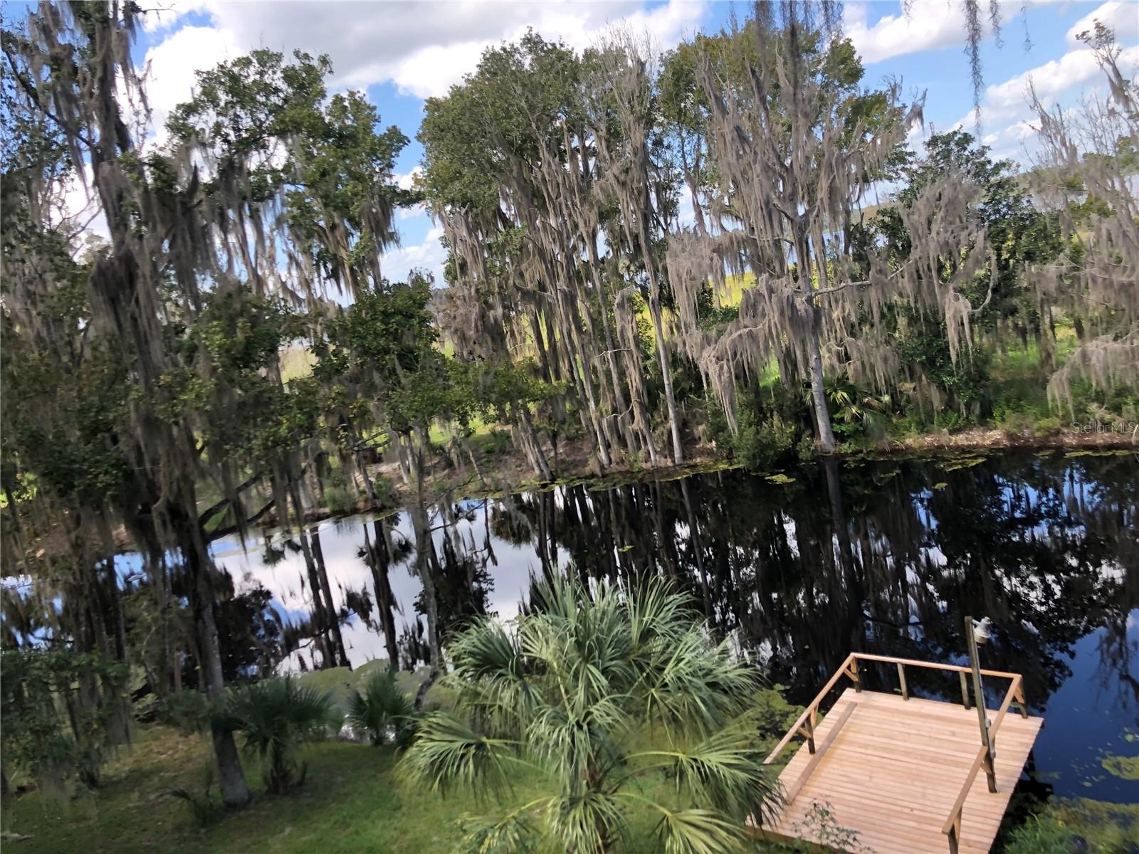 216 Little Orange Lake Dr, FL