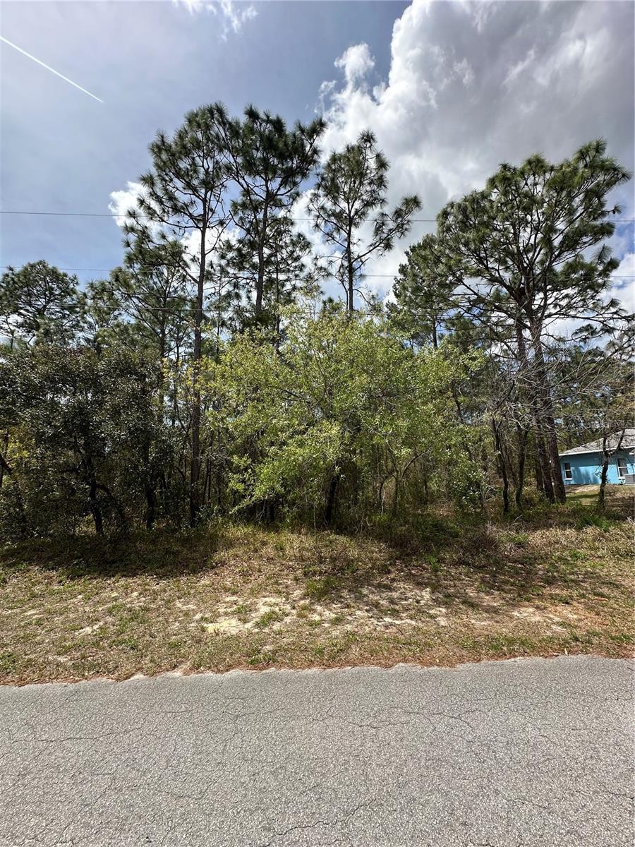 2 Fringetree Ct, FL