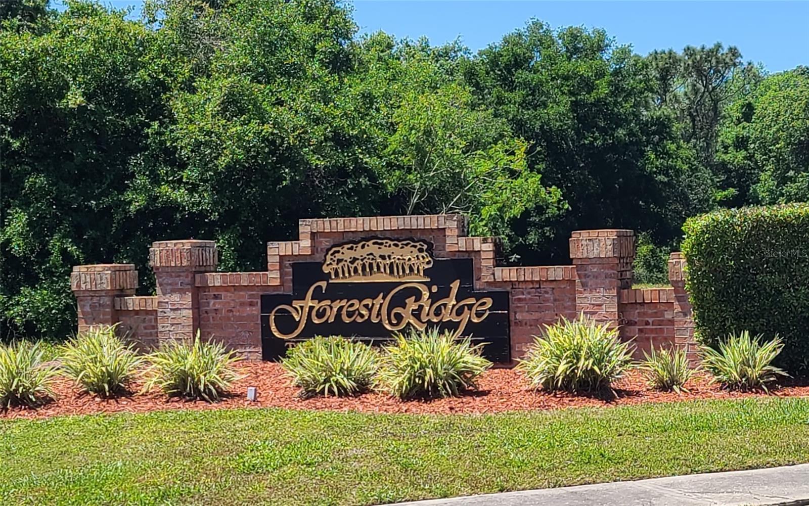 0 Wood Dove, Lots 1.2.3.&4 Avenue, FL