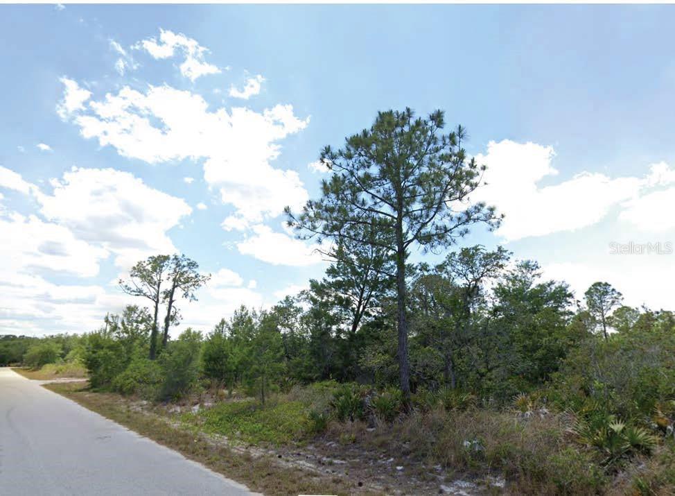 908 Imperial Oak Street, FL