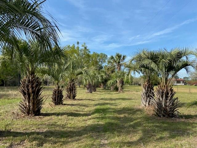 23206 Nw 102 Nd Ave, FL