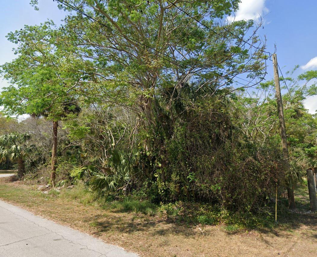 Longwood Drive, FL