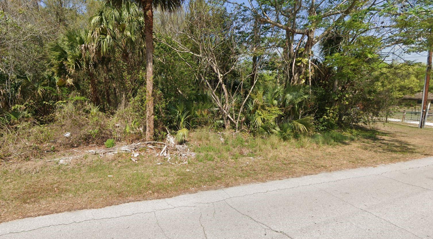 Longwood Drive, FL