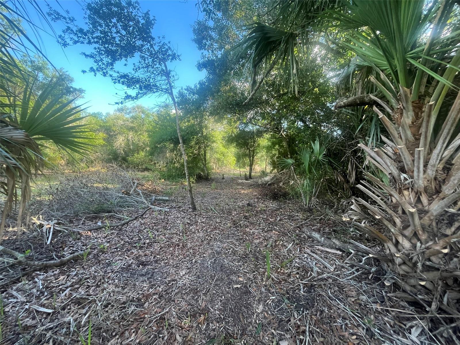 17774 254th Street, FL