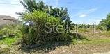 9193 Arberg Street, FL