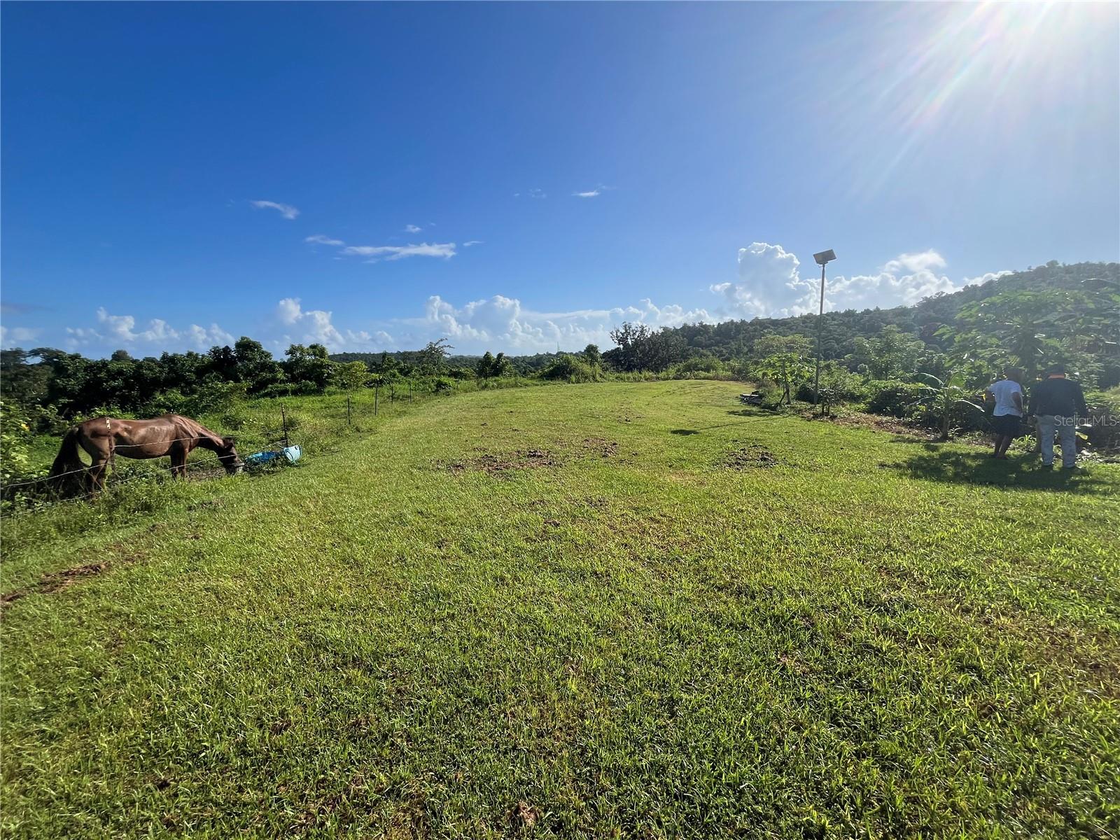 Carr. 857 Km.Hm 003 3 Bo. Canovanillas, PR