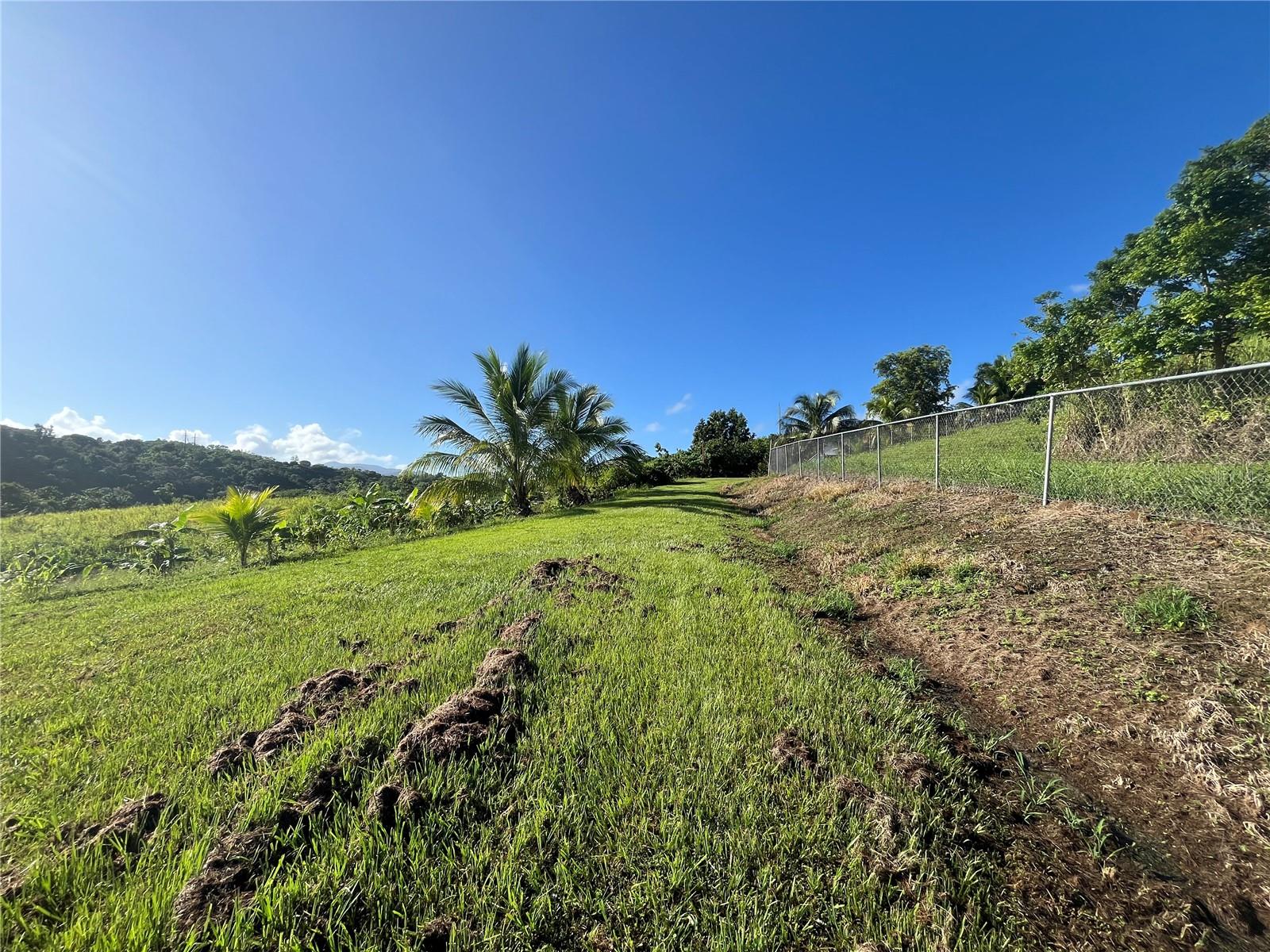 Carr. 857 Km.Hm 003 3 Bo. Canovanillas, PR
