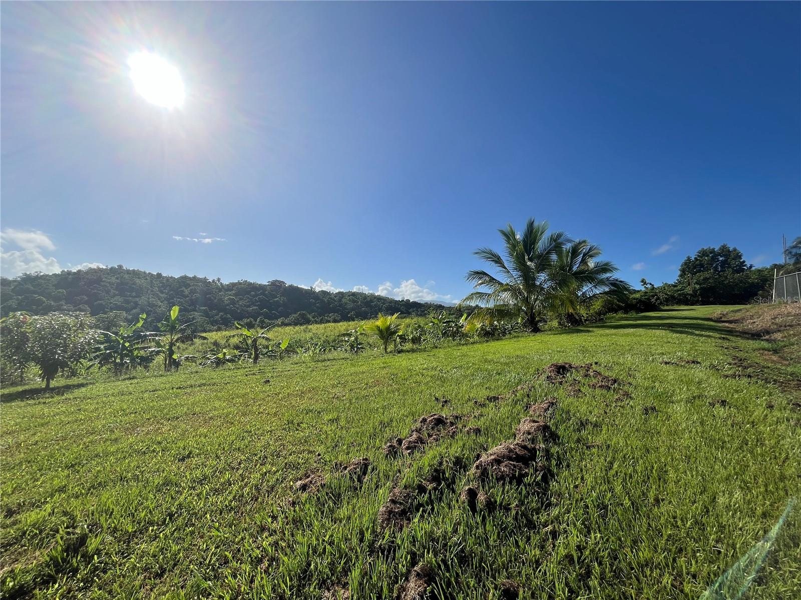 Carr. 857 Km.Hm 003 3 Bo. Canovanillas, PR