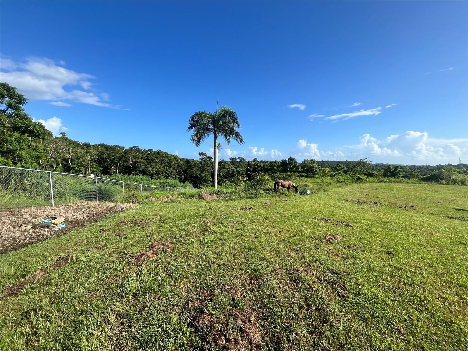Carr. 857 Km.Hm 003 3 Bo. Canovanillas, PR