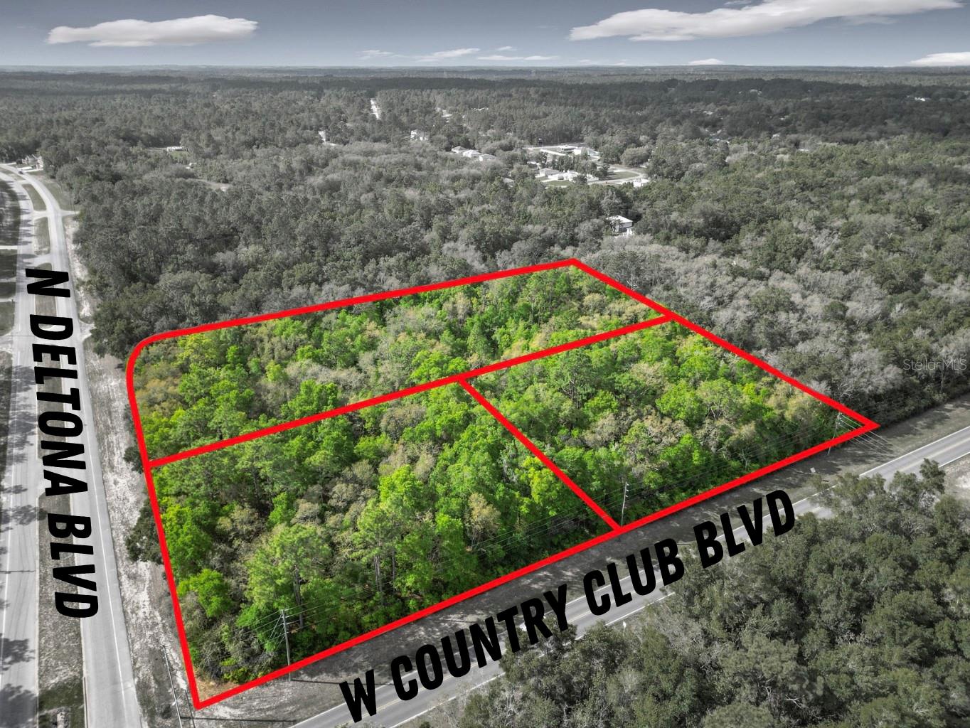 8808 N Deltona Blvd, FL
