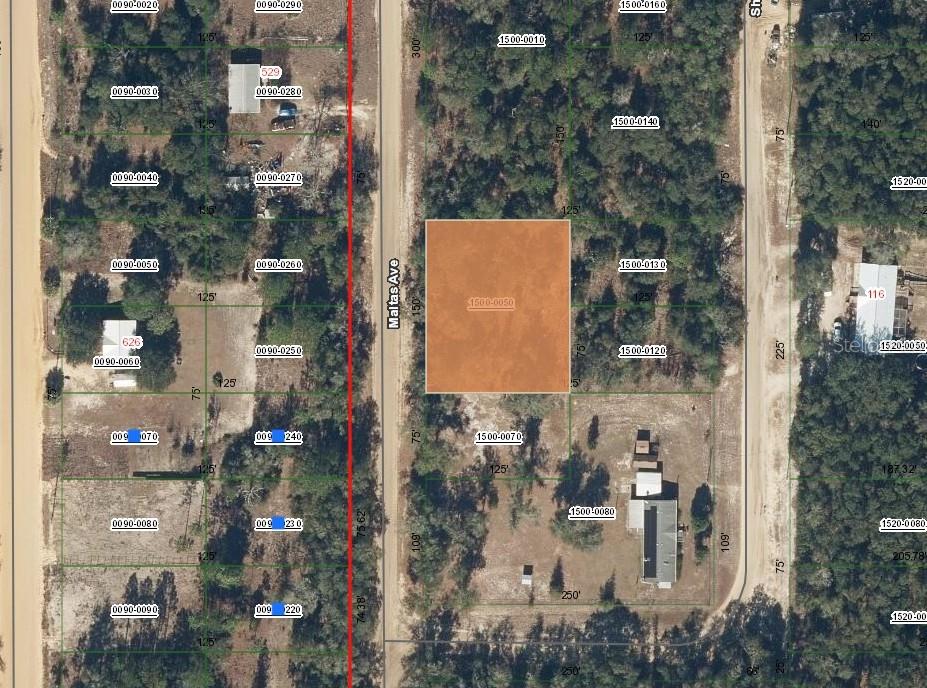 00 Maltas Avenue, FL