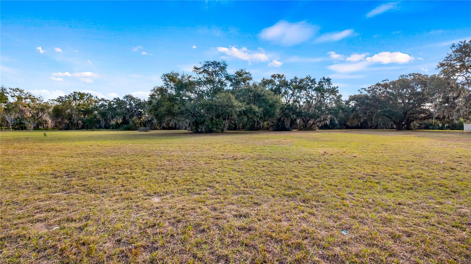 Woodlea Road, FL