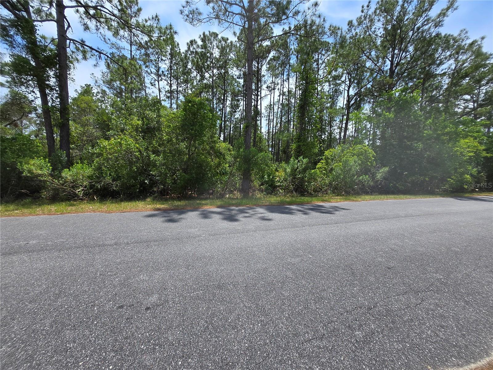 00 W Bluebell Ave, FL
