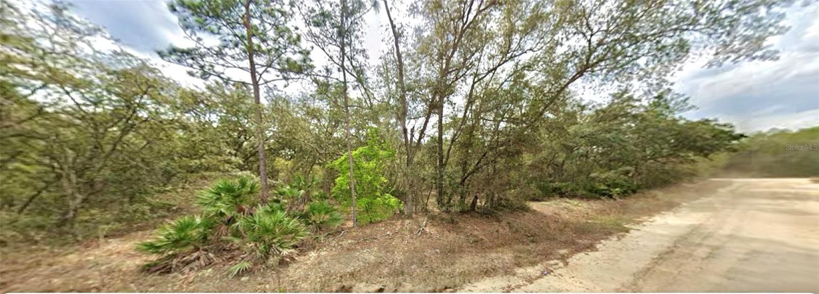 109 Dottie Street, FL