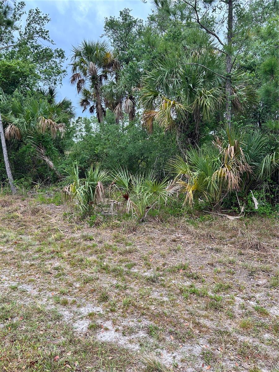361 & 369 Juper St, FL