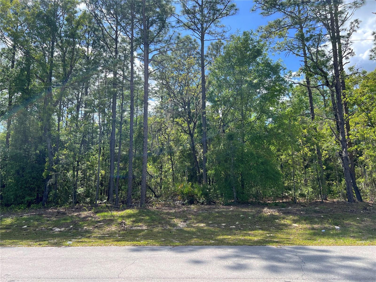 Sw 89 Cir, FL