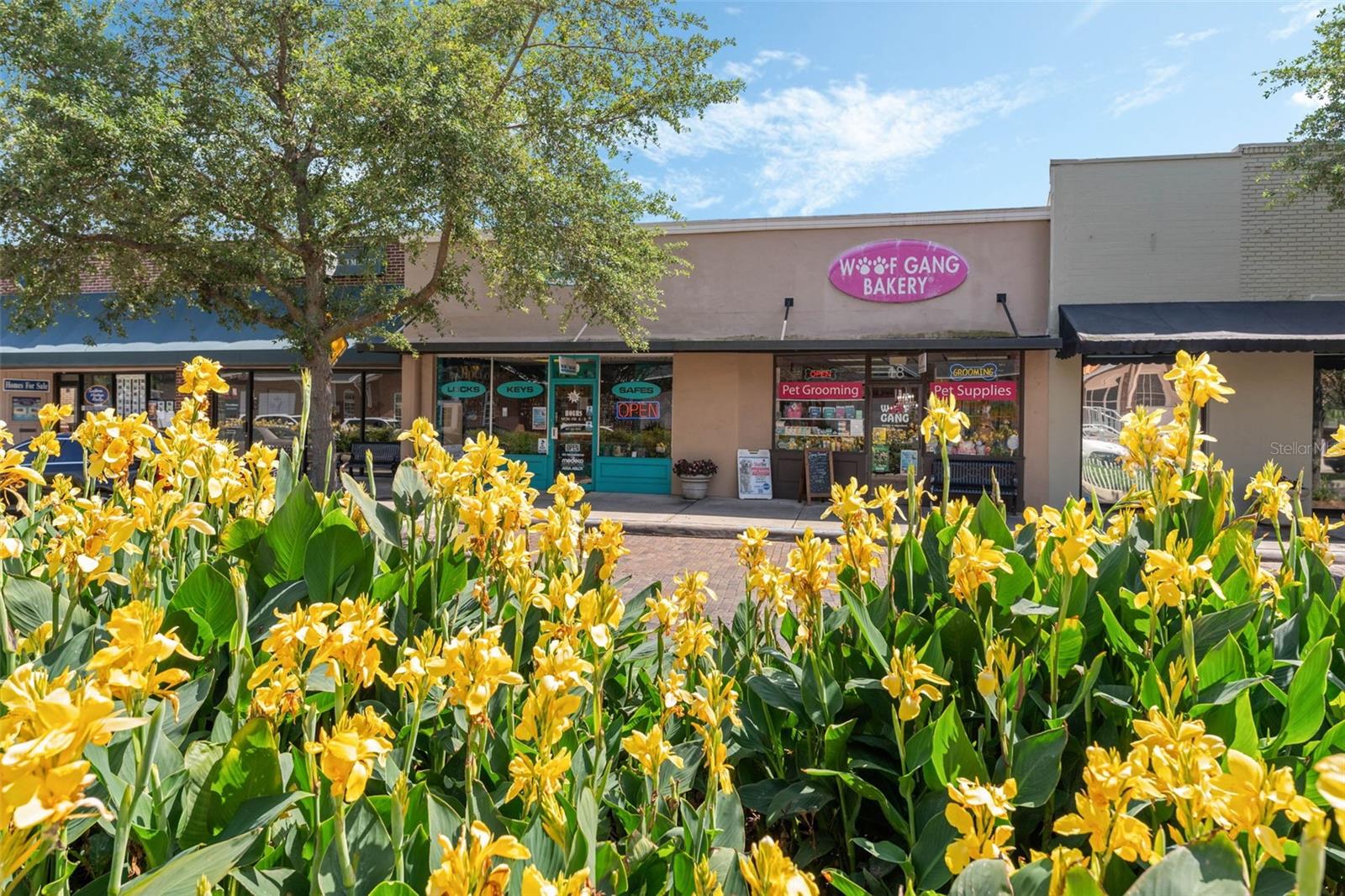 18 & 20 E Plant St, FL