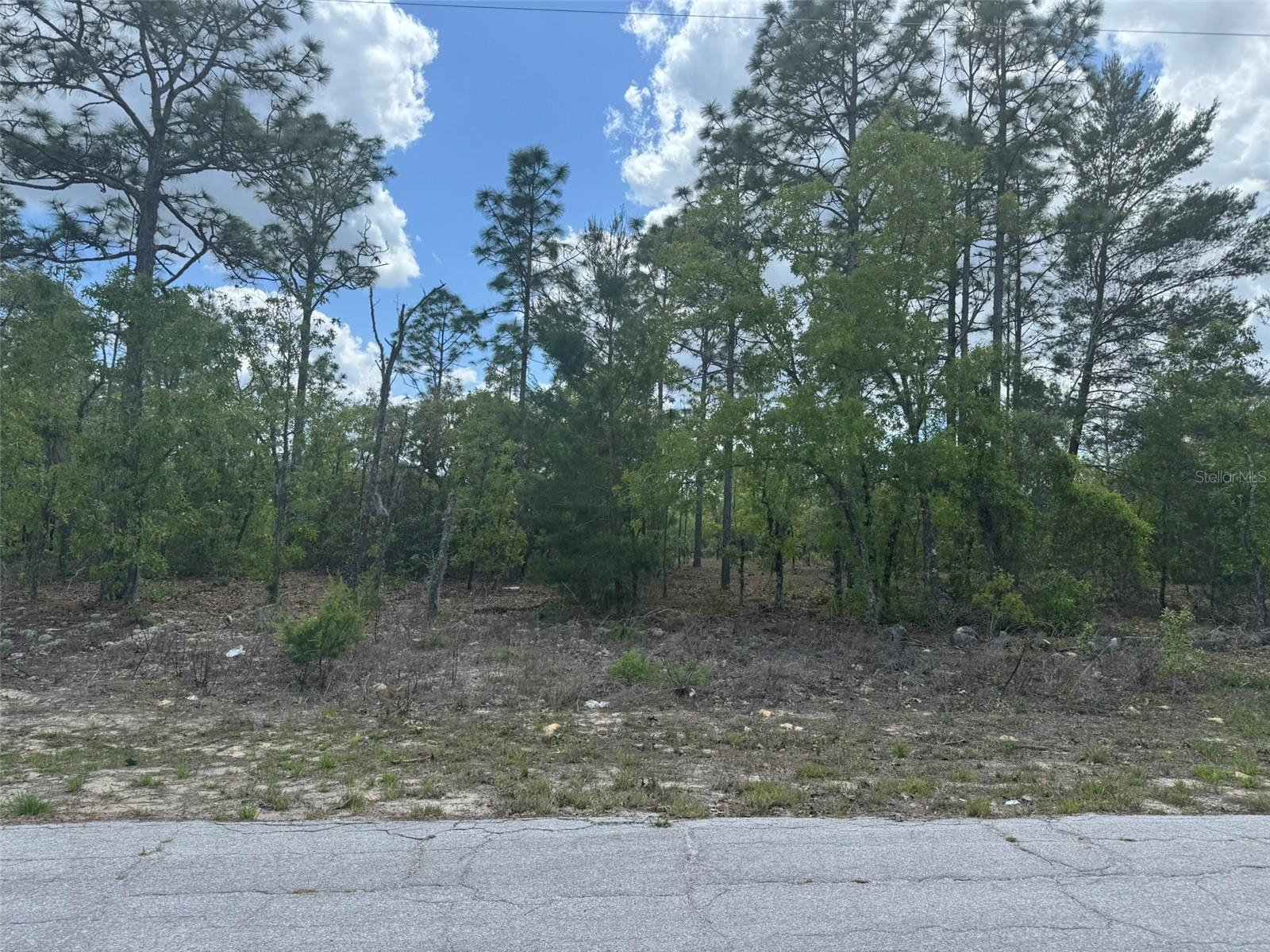 2984 Liza Place, FL