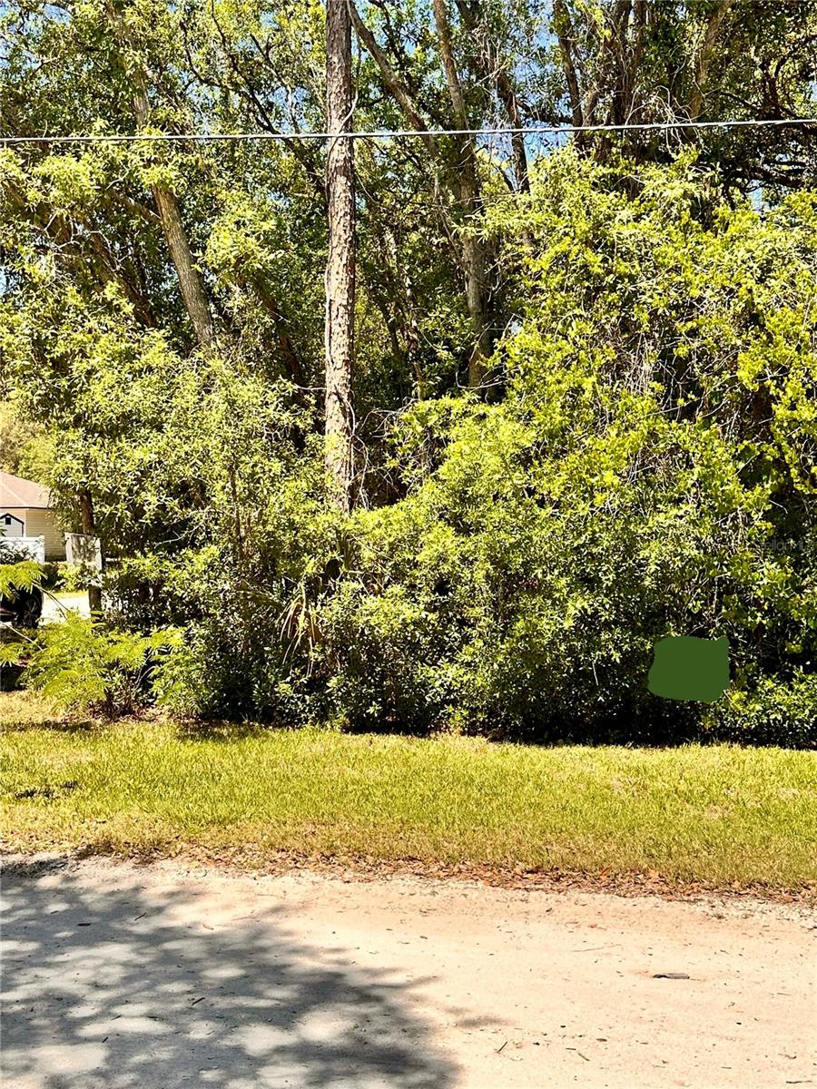 12th St, FL