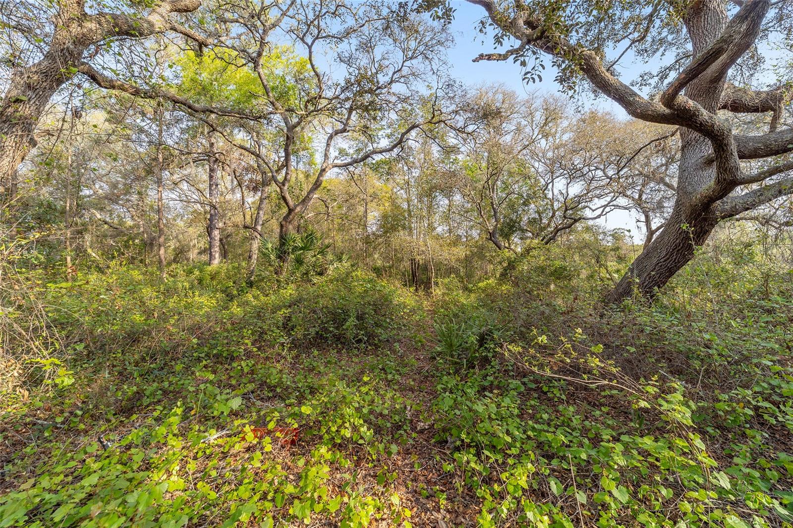 475 Fisher Road, FL