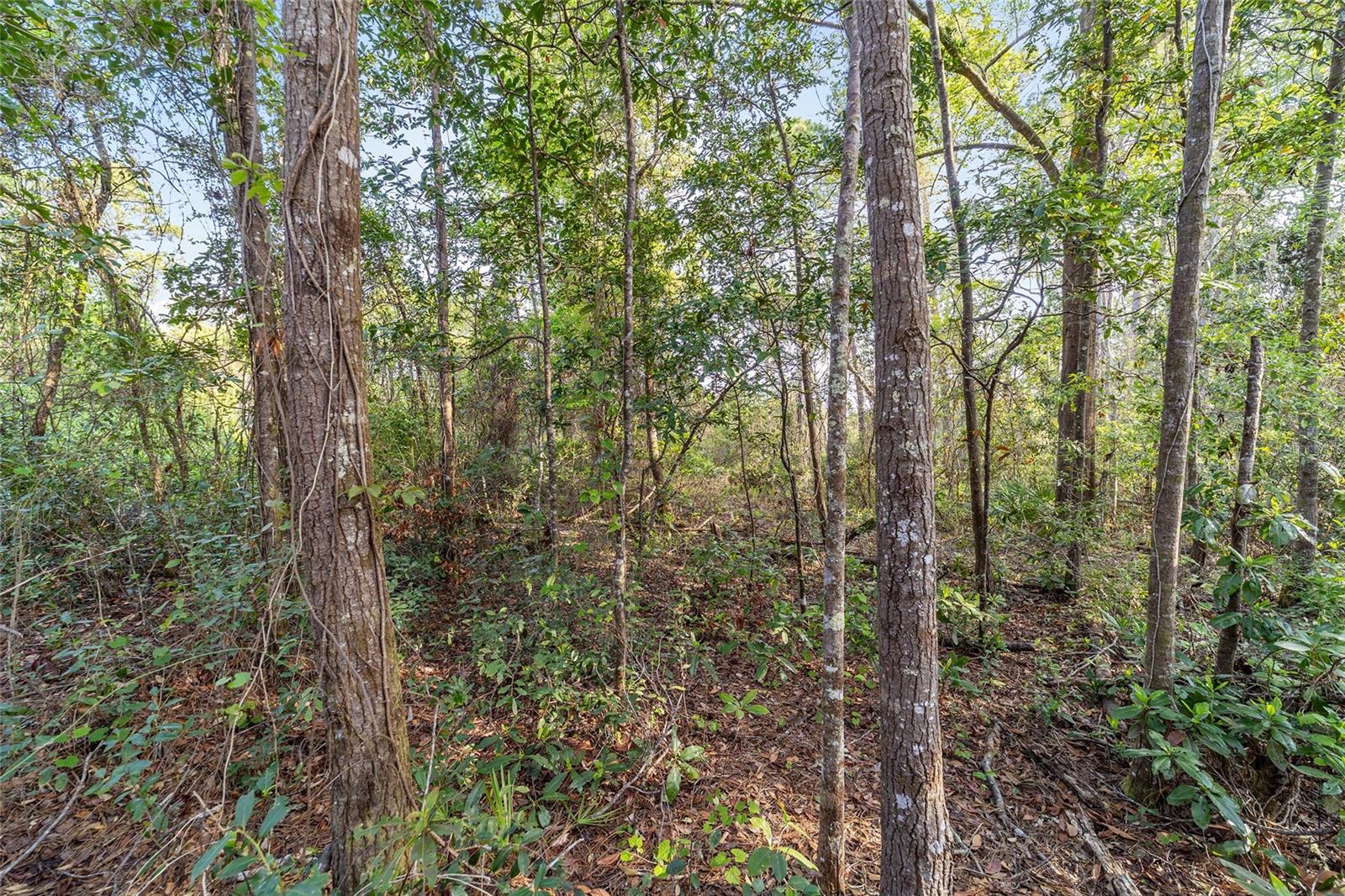 475 Fisher Road, FL