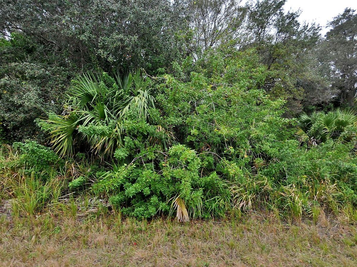 Brewster Lot #8 Road, FL