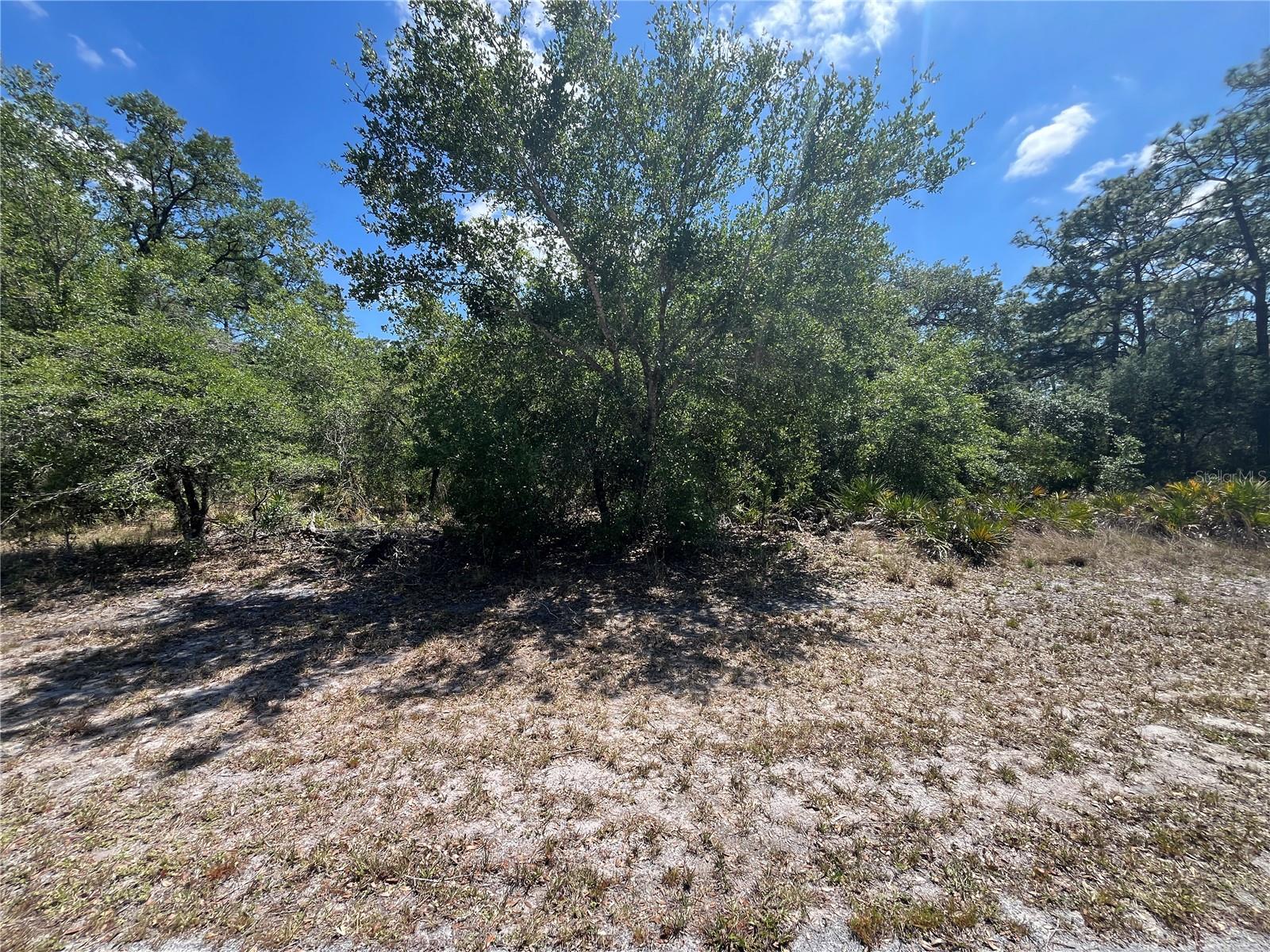 Oleander Dr, FL