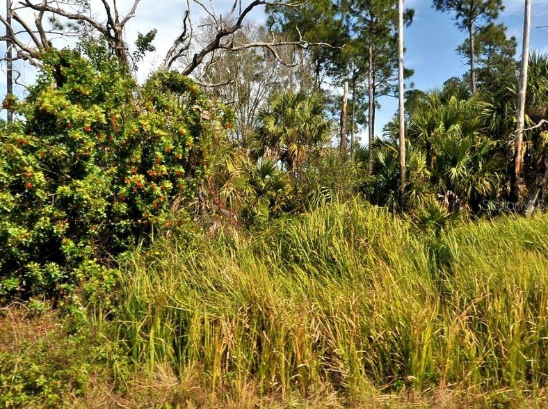 Firebird Road, FL