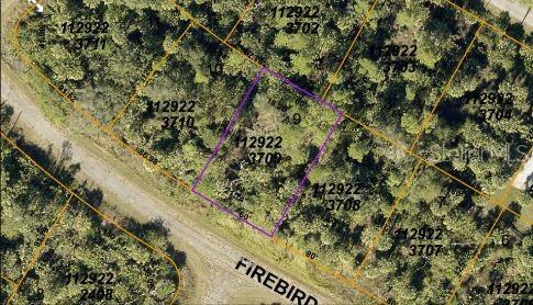 Firebird Road, FL