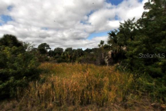 00 Andris Street, FL