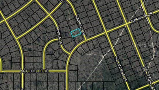 Lot 6 Harding Ave, FL