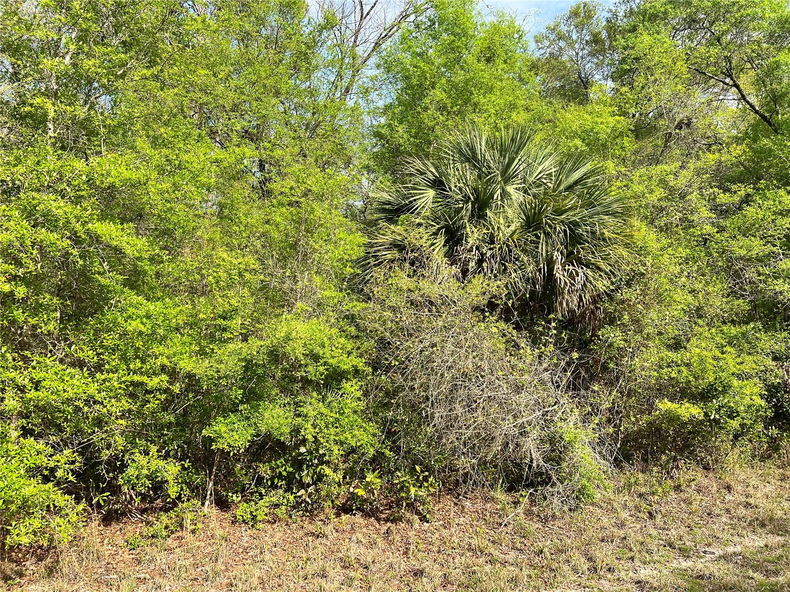 Nw 74th Ct #112, FL
