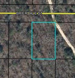 Lot 6 Brierdale St, FL