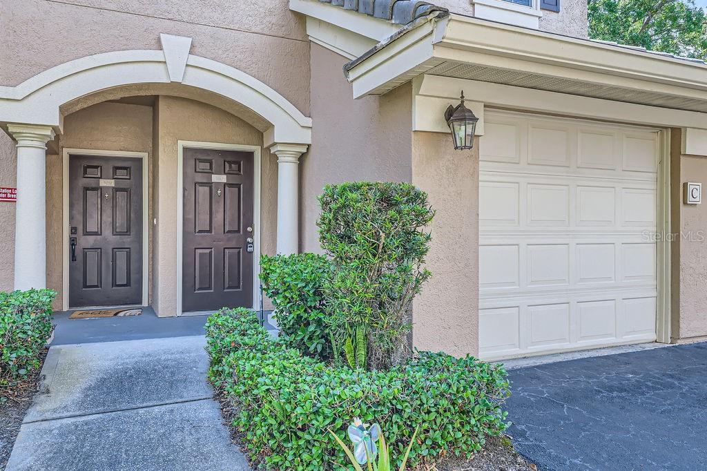 14238 Fredricksburg Drive, FL