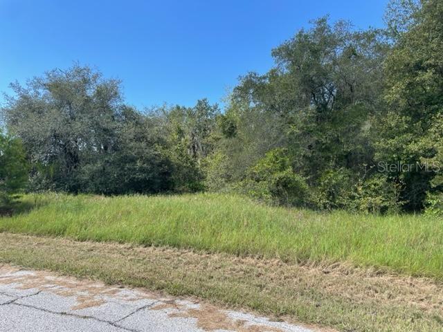 Kissimmee Way, FL