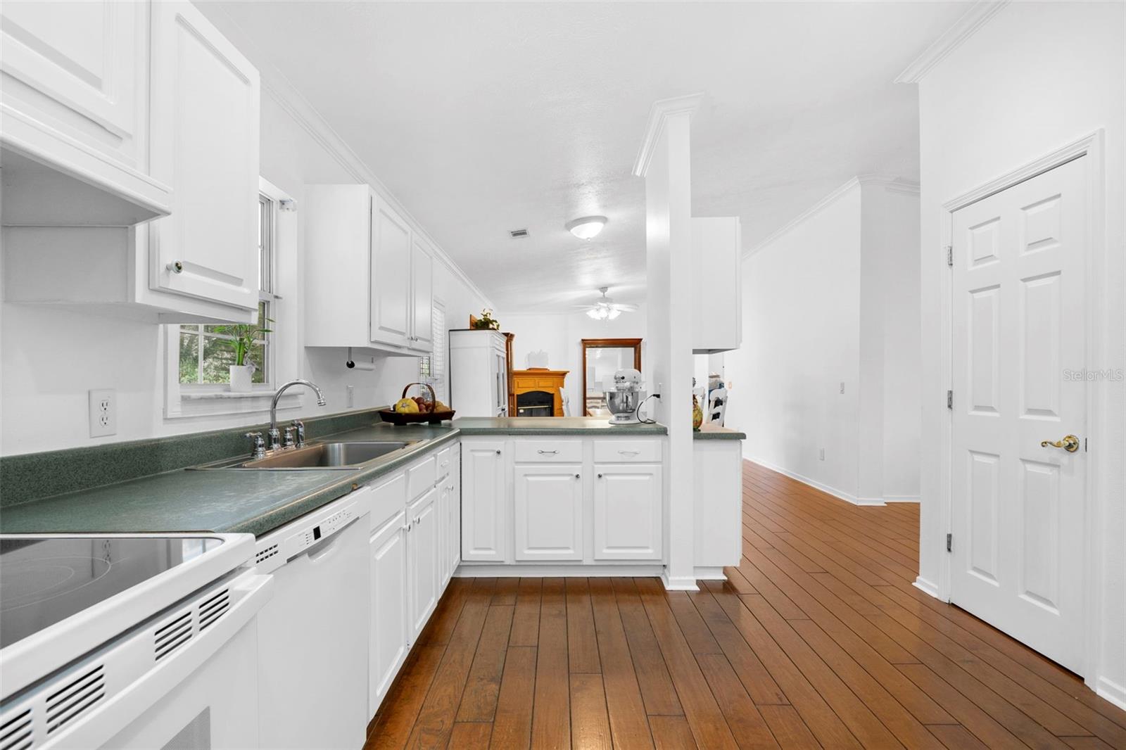 13015 Elm Street, FL
