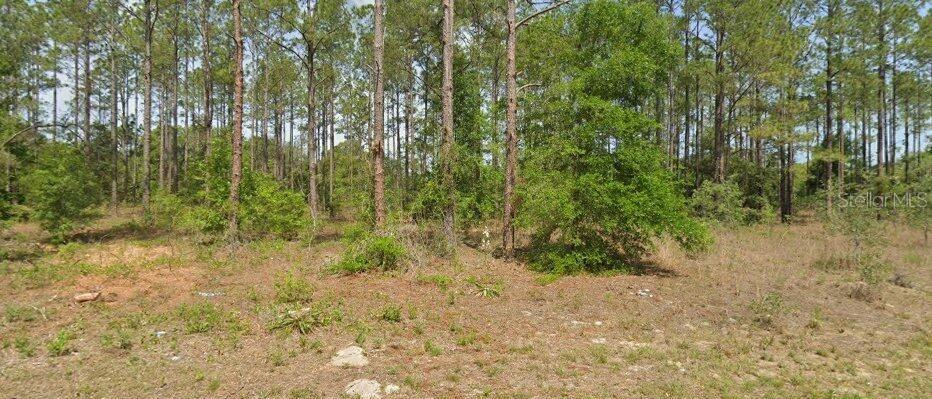 10940 N Letterwood Way, FL