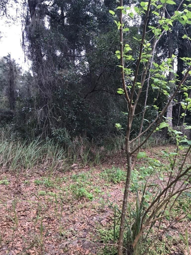 260 Mercers Fernery Road, FL
