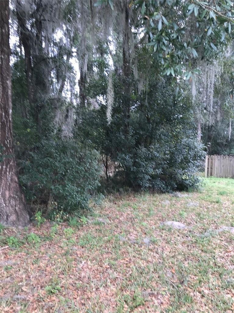 260 Mercers Fernery Road, FL
