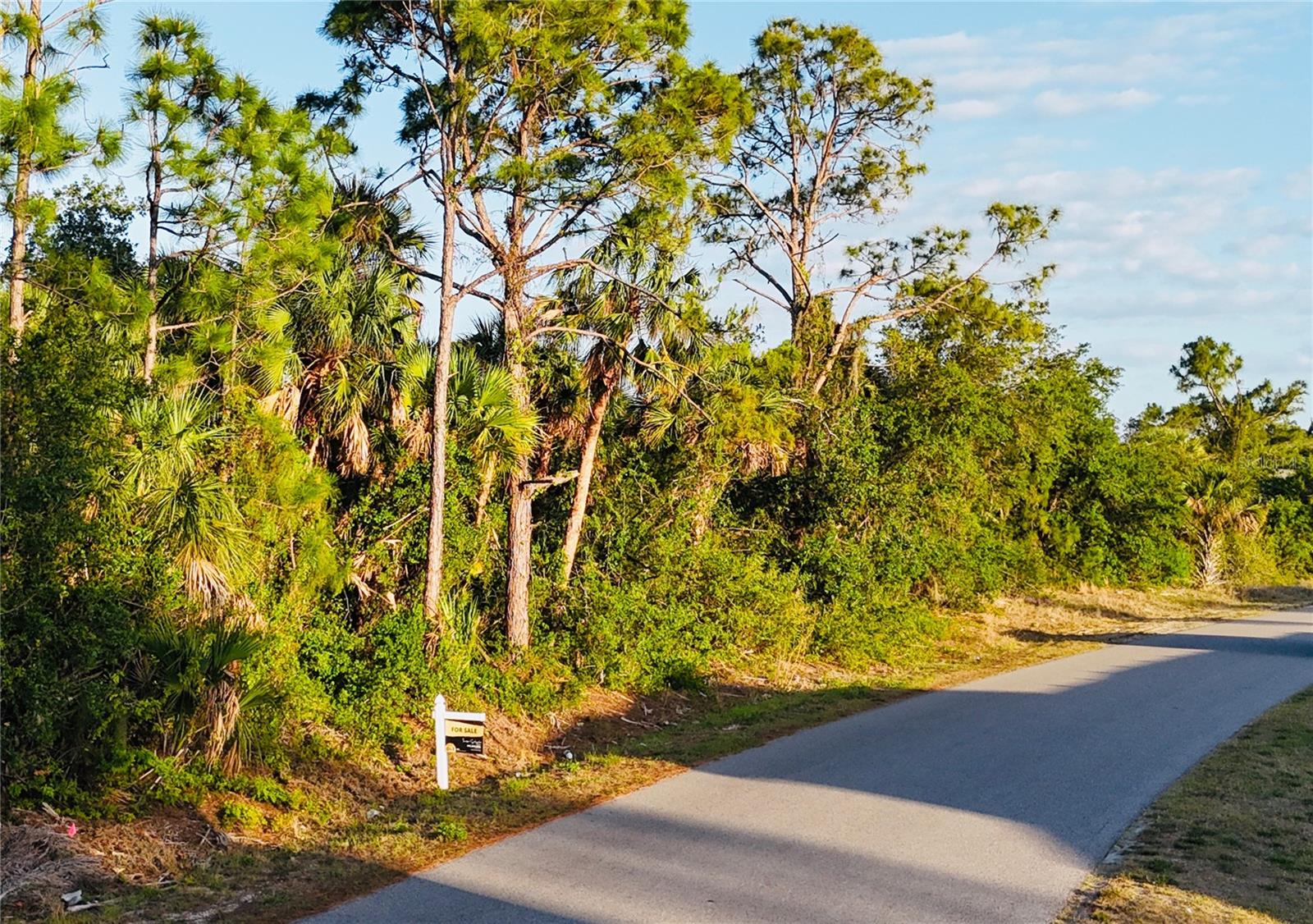 Lot 11 Sadnet Ln, FL