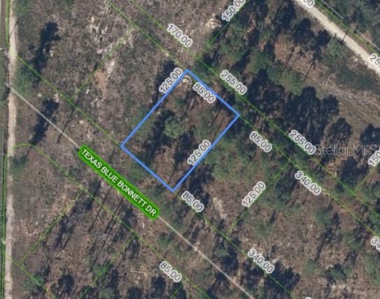 6139 Texas Blue Bonnett Dr, FL