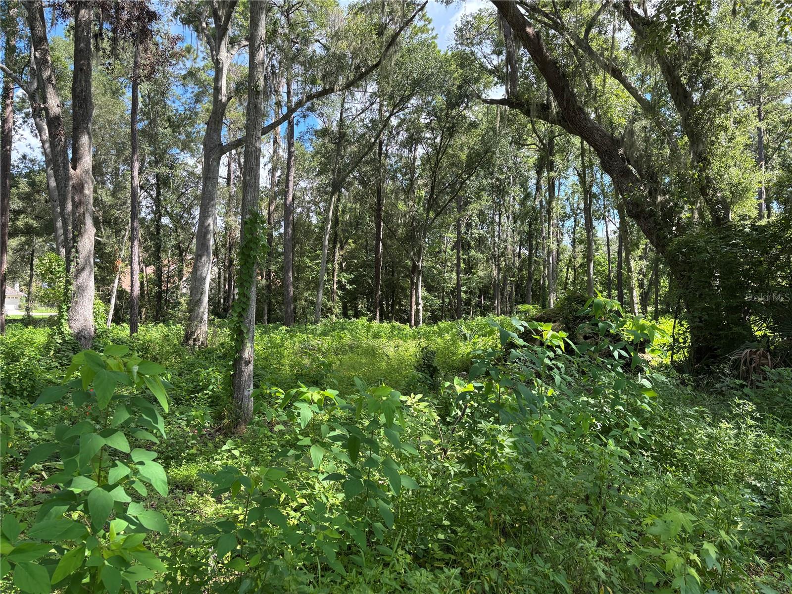 1555 73rd Place, FL