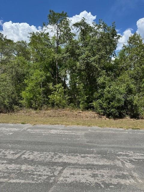 2235 W Summer Pl, FL