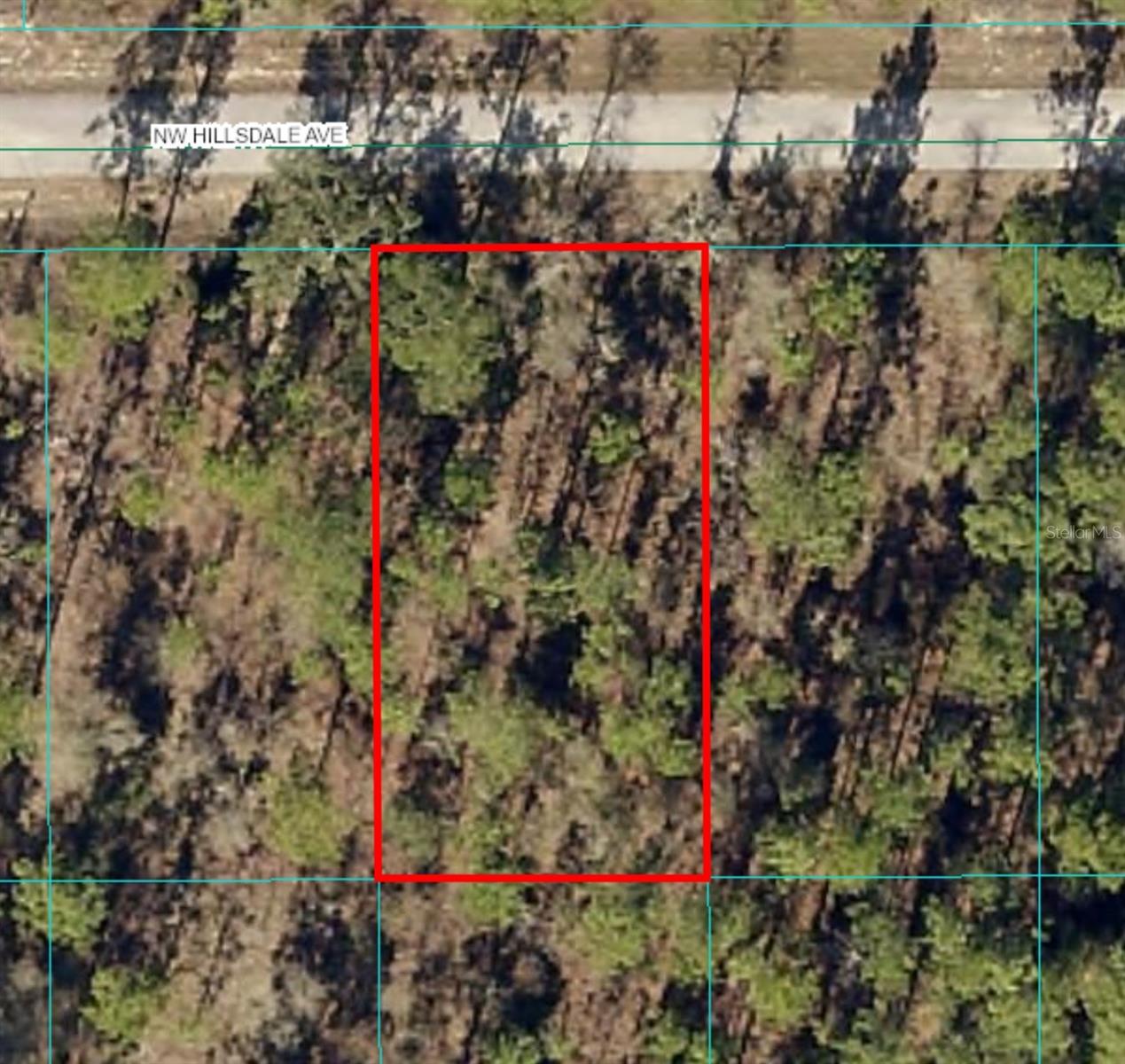 Lot 15 Nw Hillsdale Ave, FL