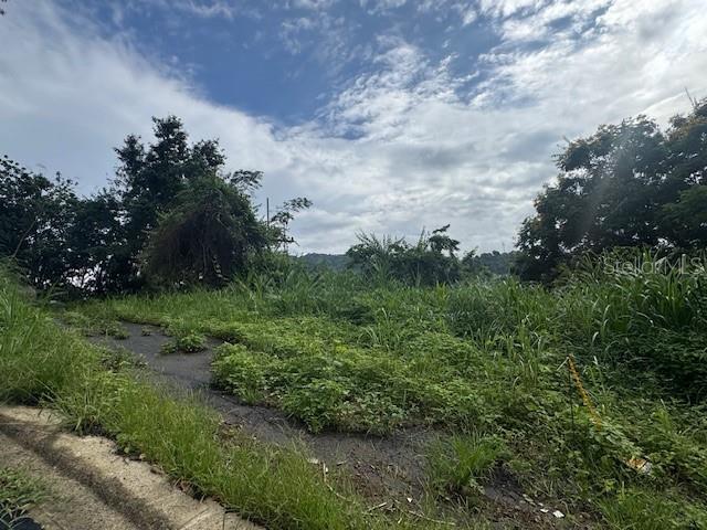 816 Bo Nuevo, PR